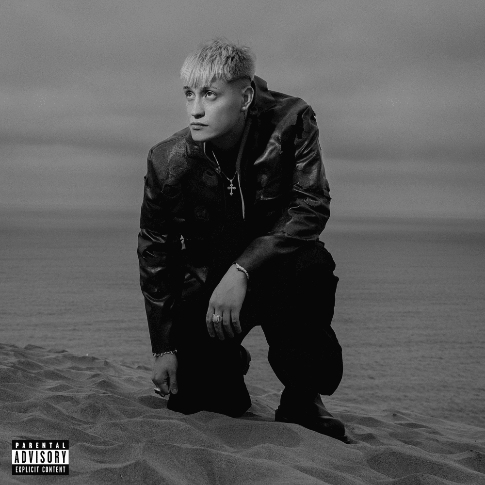 Satirología, Vol. 3 (Vinilo)